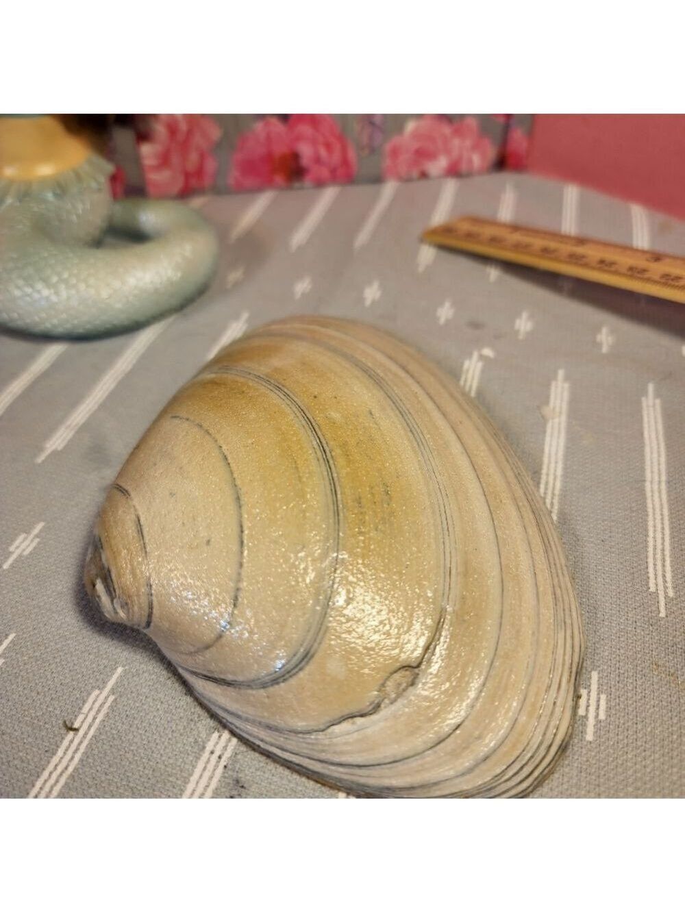 DECOUPAGE CLAM SHELL DECOUPAGE CHRISTMAS HOLLY 🎄 ON A CLAM SHELL TRINKET DISH - Picture 10 of 10